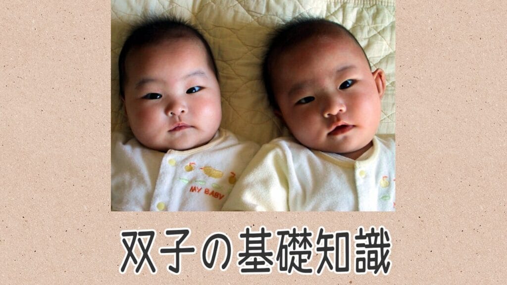 双子の基礎知識 | 『フタゴのトリセツ』