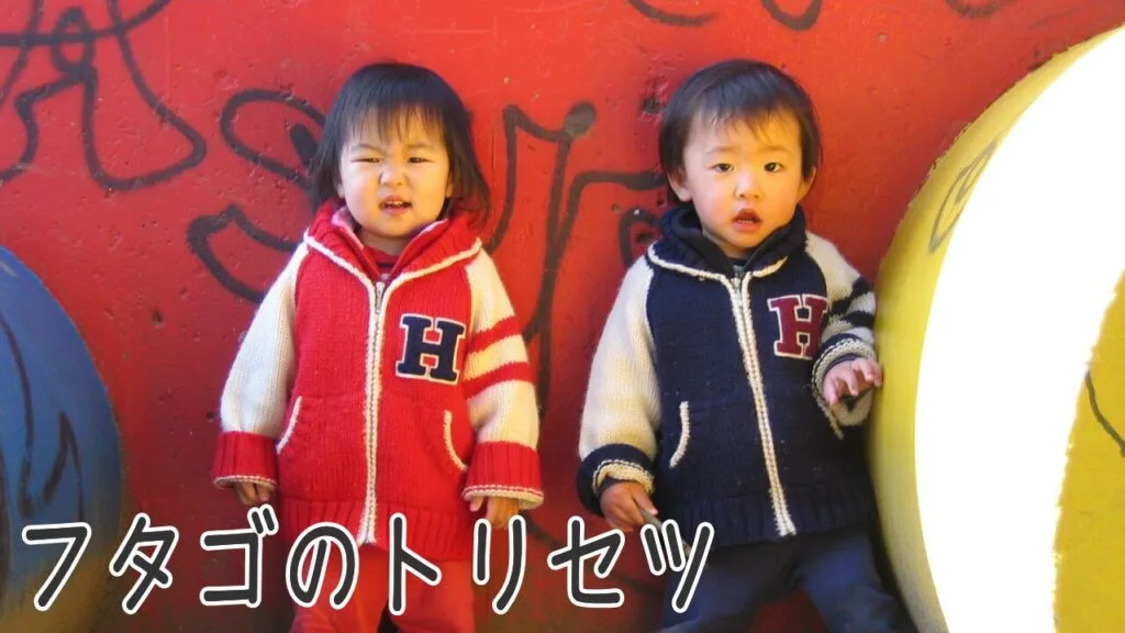 フタゴのトリセツ